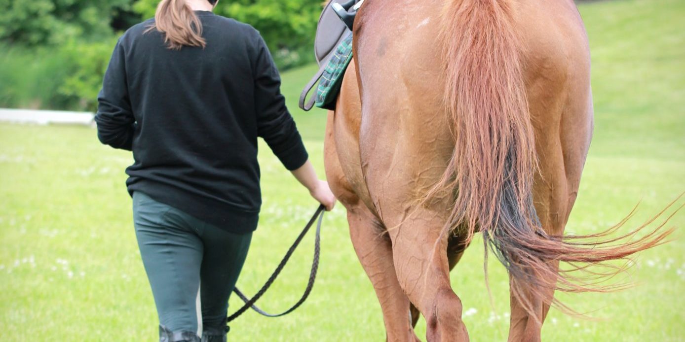 Hind Gait abnormities