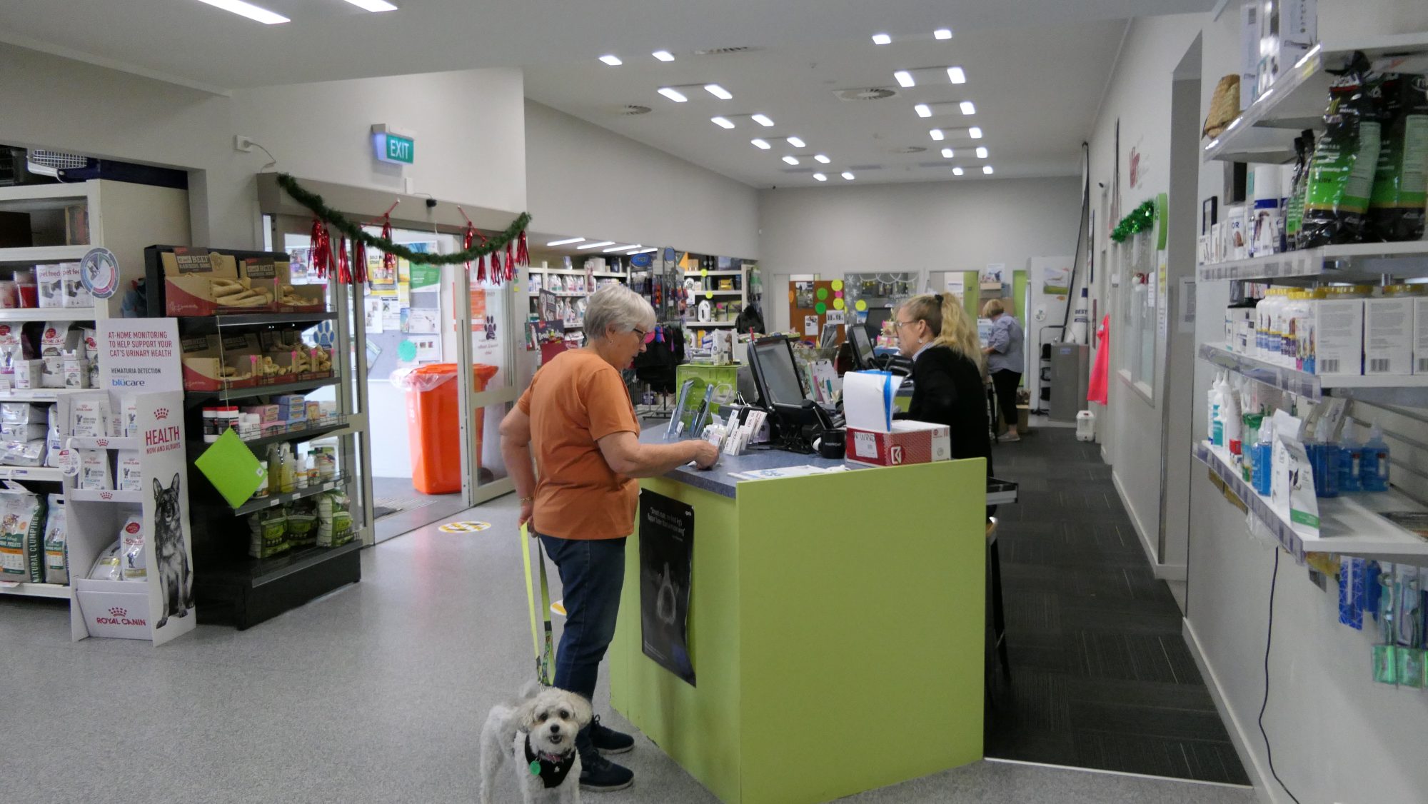 Gallery - 02